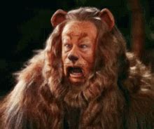 cowardly lion gif